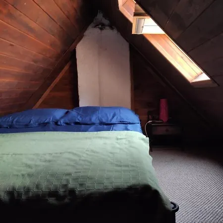 Letni Wiatr Retro * ウェバ