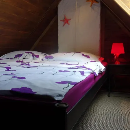 Letni Wiatr Retro ウェバ